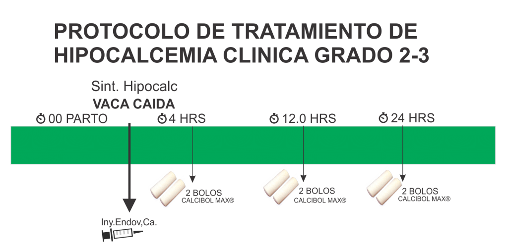 grafico -protocolode tratamientodehipolcalcemia